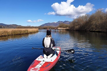 Paddle Board Session from Keswick - School Holiday Deal