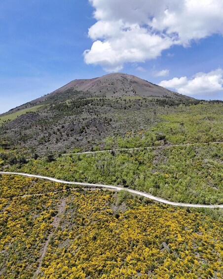 Picture 2 for Activity Vesuvio Bike Tour: Summit Ride, Ticket & Tasting Experience