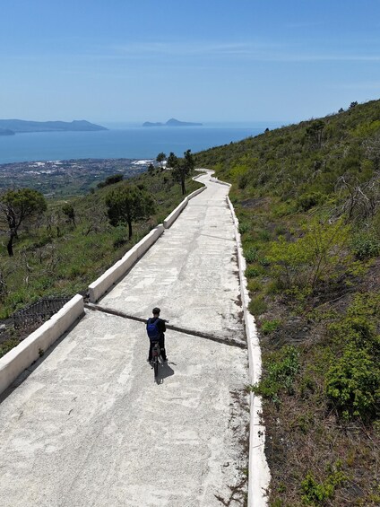 Picture 3 for Activity Vesuvio Bike Tour: Summit Ride, Ticket & Tasting Experience