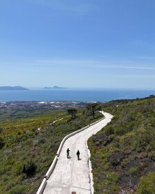 ヴェスーヴィオ自転車ツアー：サミットライド、チケット＆試飲体験