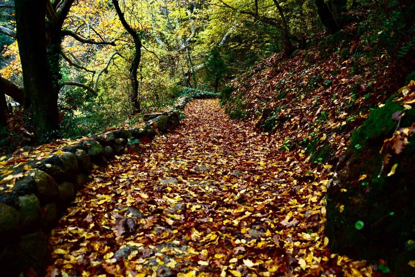 Picture 3 for Activity From Kalabaka: Guided Hiking Tour in Meteora