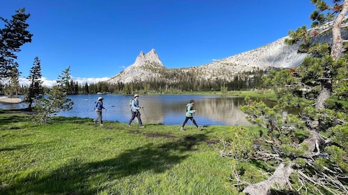 Yosemite: High Country Explorer - Private Hiking Tour