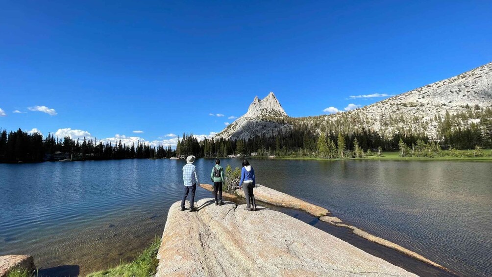 Picture 5 for Activity Yosemite: High Country Explorer - Private Hiking Tour