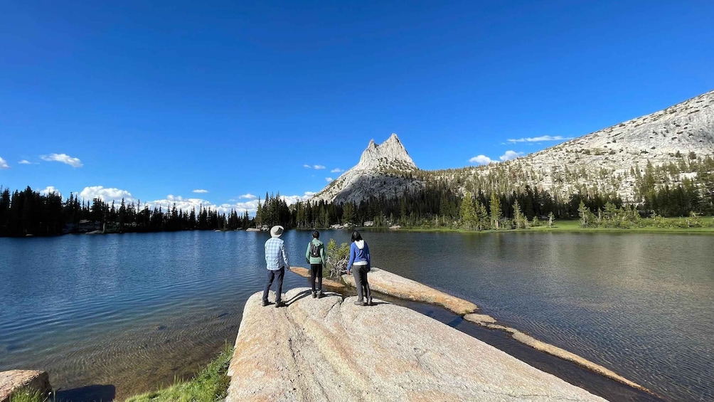 Picture 5 for Activity Yosemite: High Country Explorer - Private Hiking Tour