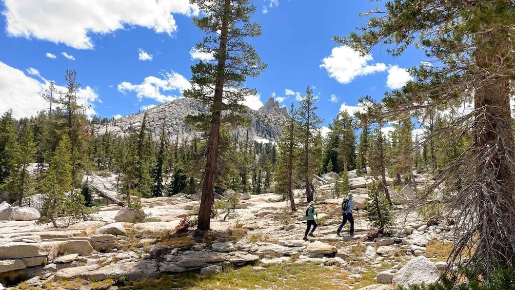 Picture 8 for Activity Yosemite: High Country Explorer - Private Hiking Tour