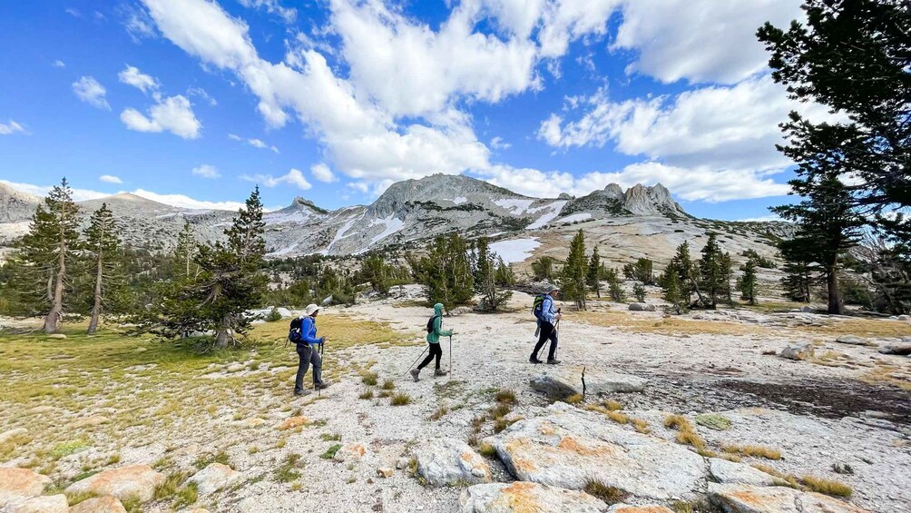 Picture 2 for Activity Yosemite: High Country Explorer - Private Hiking Tour