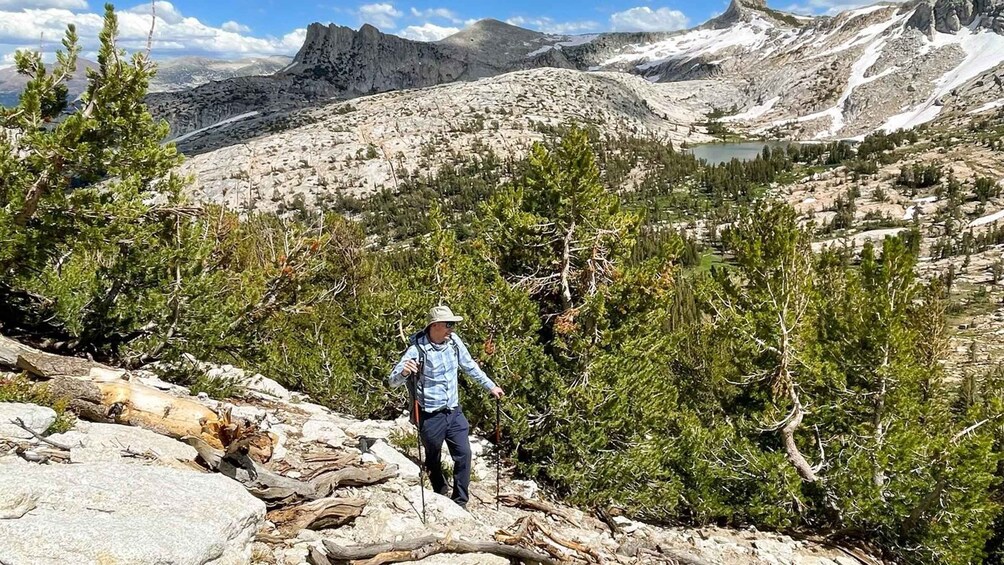 Picture 7 for Activity Yosemite: High Country Explorer - Private Hiking Tour