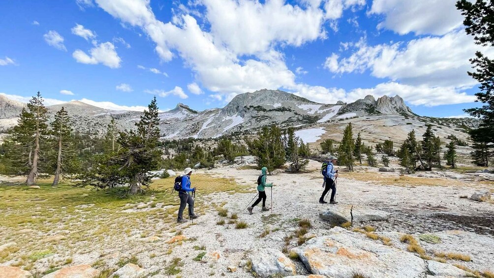 Picture 1 for Activity Yosemite: High Country Explorer - Private Hiking Tour