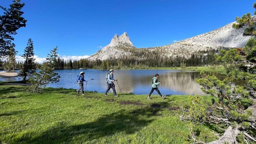 Yosemite: High Country Explorer - Private Hiking Tour