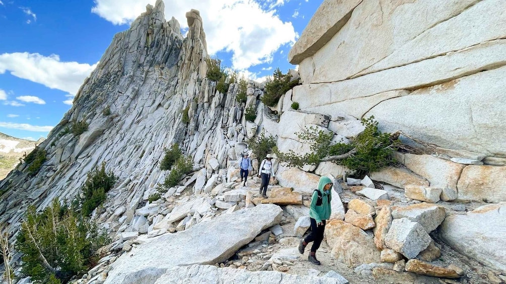 Picture 6 for Activity Yosemite: High Country Explorer - Private Hiking Tour