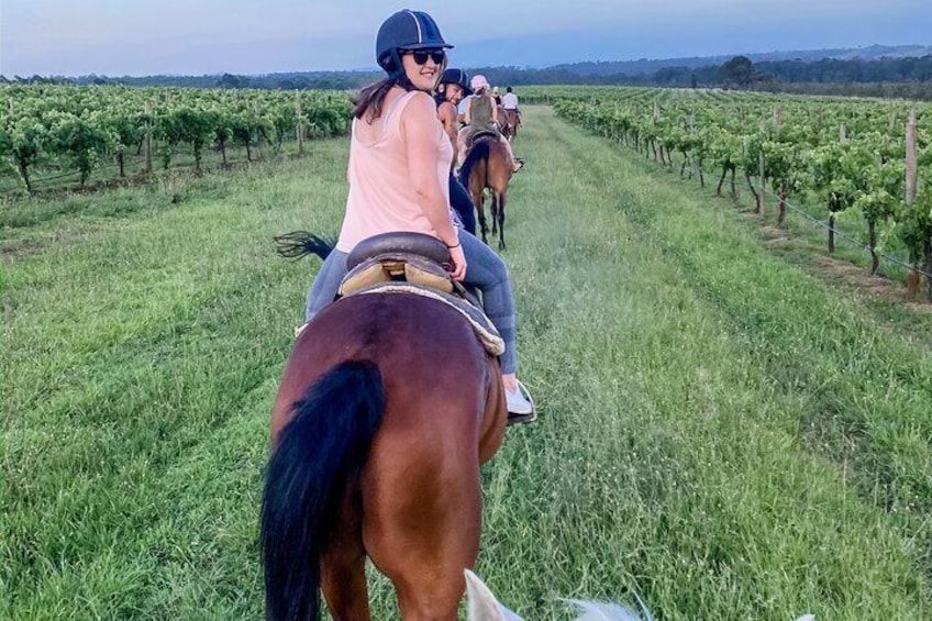 90 Minute Vineyard Trail Horse Ride