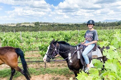 90 Minute Vineyard Trail Horse Ride