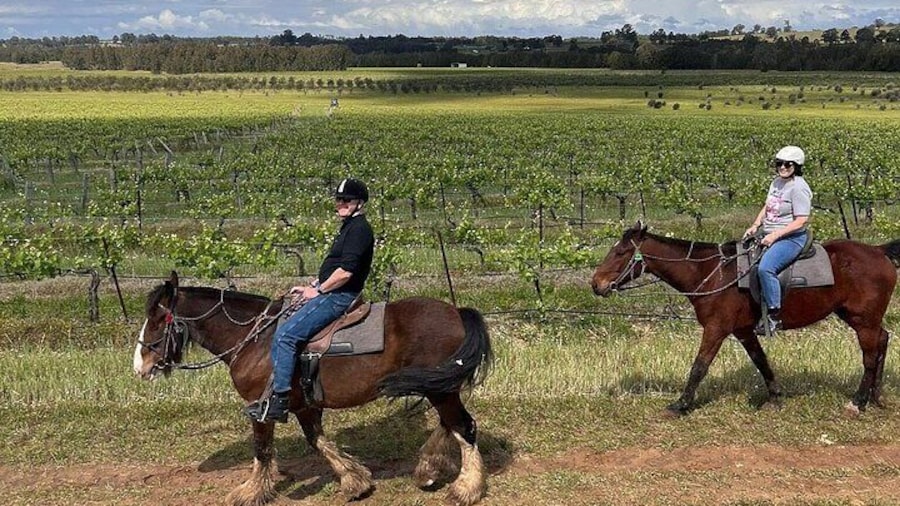 Hunter Valley Horse Ride - 90 Minutes -Vineyard & Mountain Views