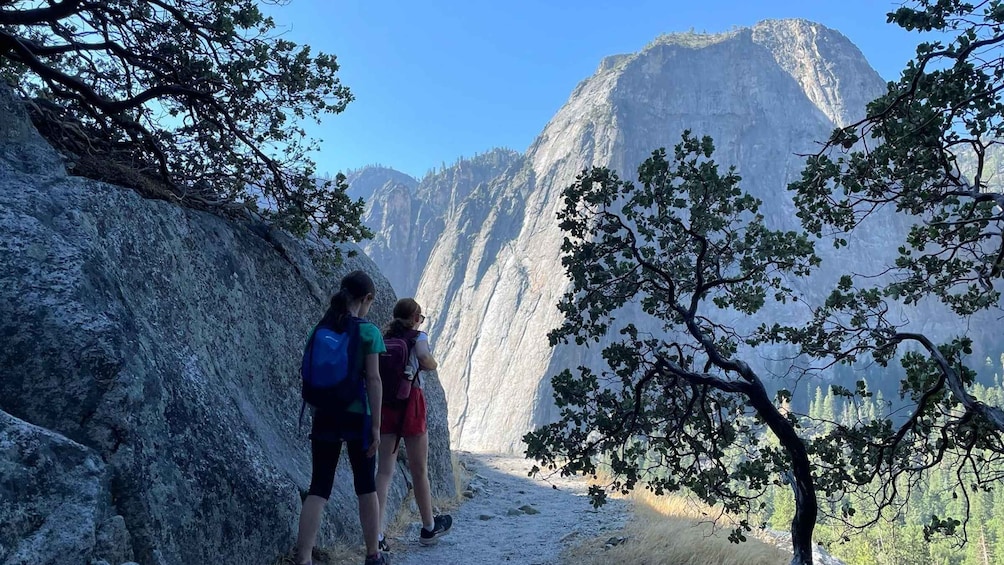 Picture 3 for Activity El Capitan, Yosemite: A Rock Climber's Odyssey