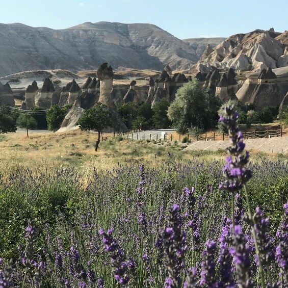 Picture 6 for Activity Mochiron Tour Full day Cappadocia With Japanese Guide