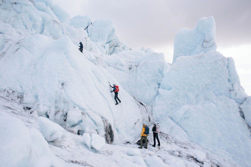 Skaftafell Glacier Hike & Ice Climbing tour - Glacier Xtreme