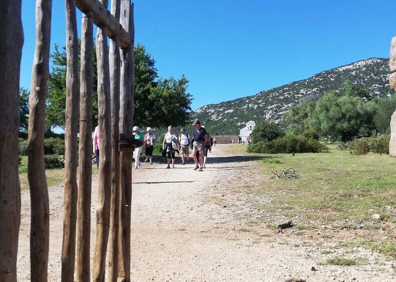 Picture 5 for Activity Trenino Supramonte: Guided tour of Golgo plateau