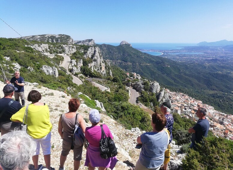 Picture 2 for Activity Trenino Supramonte: Guided tour of Golgo plateau