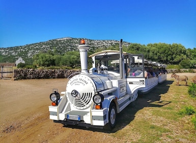 Trenino Supramonte: Guided tour of Golgo plateau