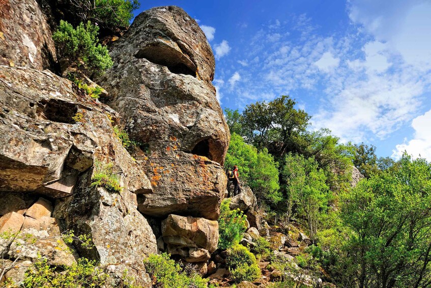Picture 8 for Activity Trenino Supramonte: Guided tour of Golgo plateau