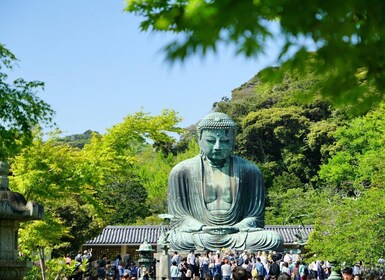 Kamakura & Enoshima 1 day bus tour from Tokyo and Yokohama