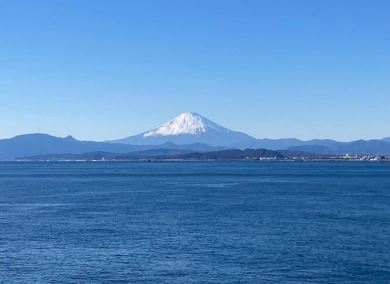 Picture 3 for Activity Kamakura & Enoshima 1 day bus tour from Tokyo and Yokohama