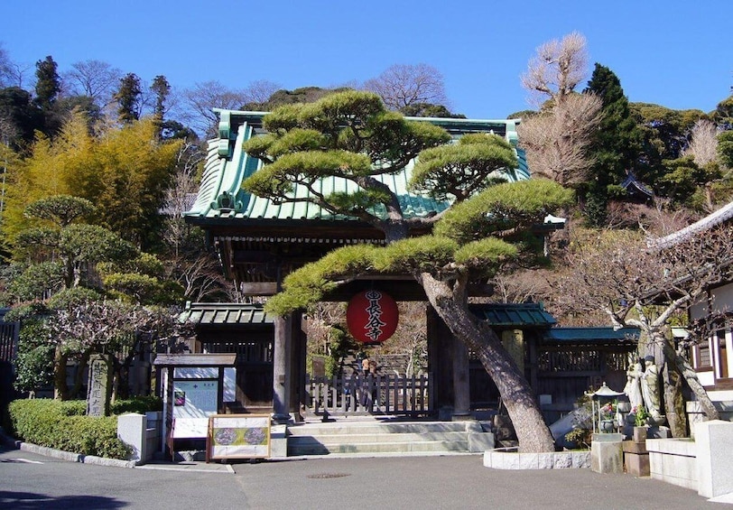 Picture 1 for Activity Kamakura & Enoshima 1 day bus tour from Tokyo and Yokohama