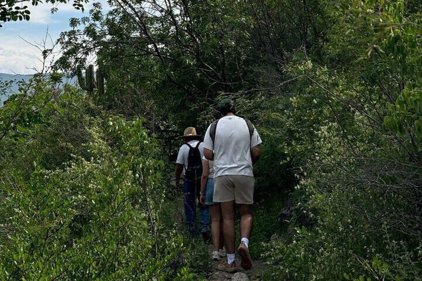 ATV or Quad Bike Tour in the Mountains and Caves of Mitla