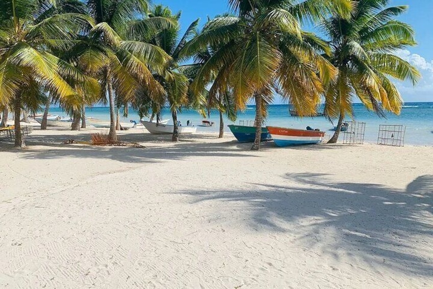 Saona Island Tour From Santo Domingo with Lunch and Pickup
