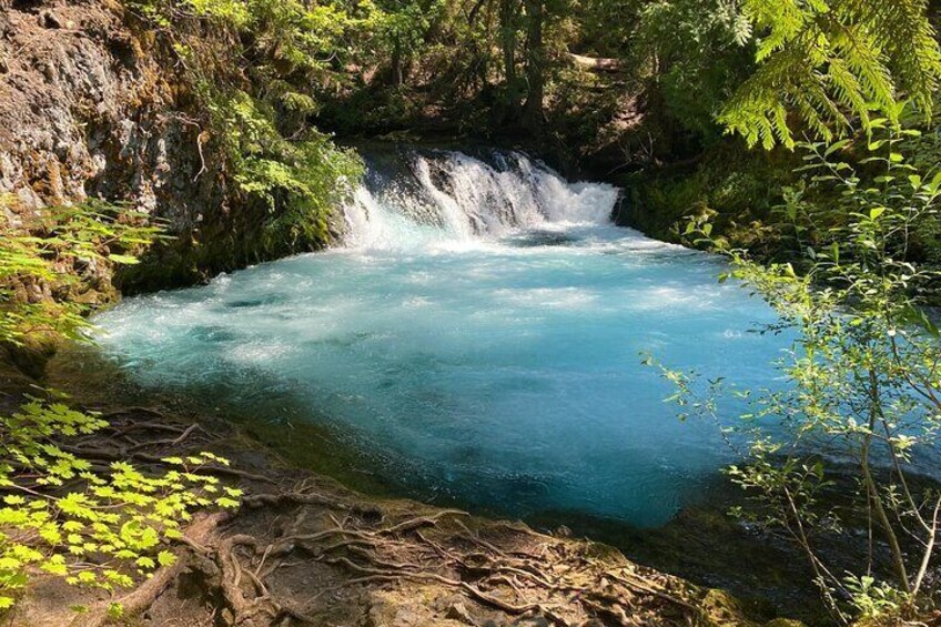 Waterfall Tour in the Oregon Cascades