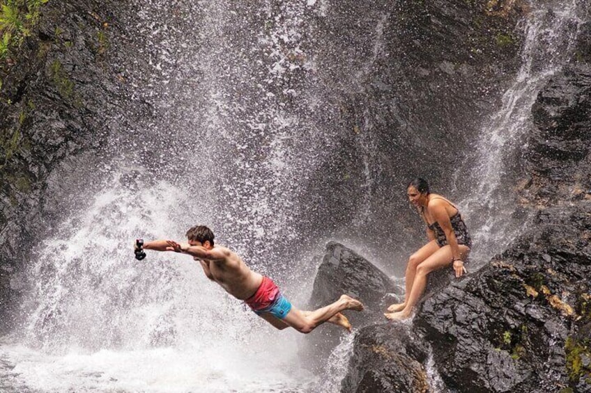 Daintree Waters Tour