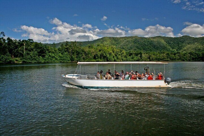 Daintree Waters Tour