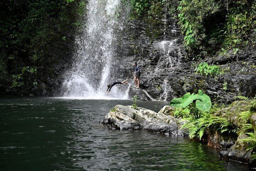 Daintree Waters Tour