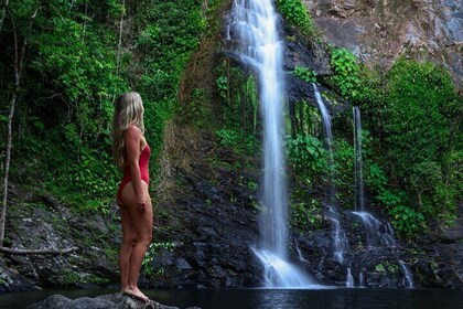 デインツリーウォーターズツアー