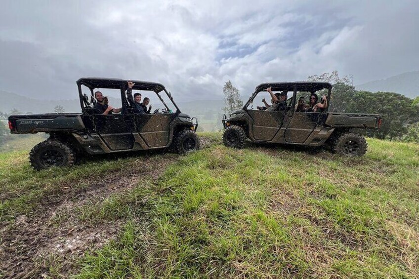 Daintree Waters Tour