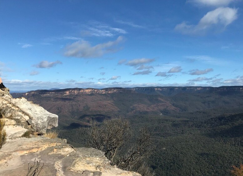 From Sydney: Blue Mountains Day Trip with River Cruise