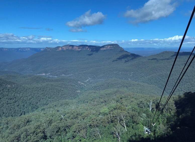 From Sydney: Blue Mountains Day Trip with River Cruise