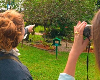 Excursion d’une journée à la vieille ferme « Bananal » - culture et biodive...