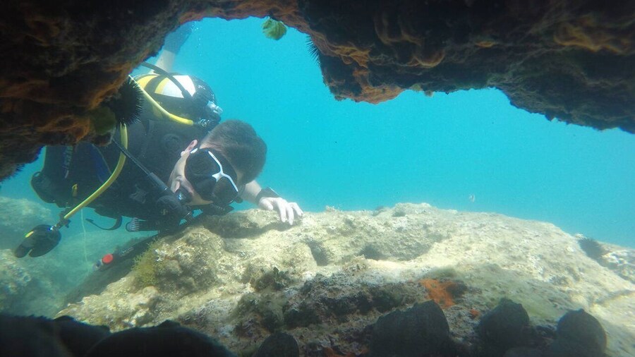 Thasos: Introductory Scuba Diving Expereince