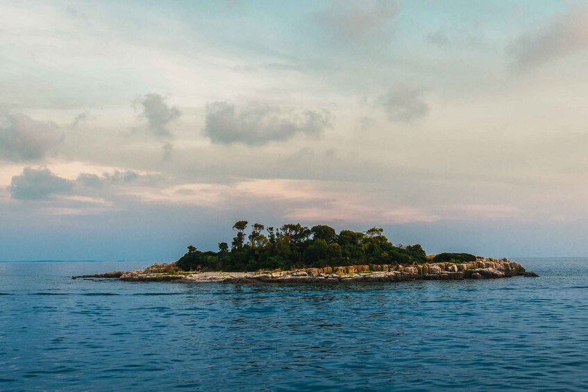 Picture 5 for Activity Rovinj half-day cruise: swim stops, drinks & brunch included