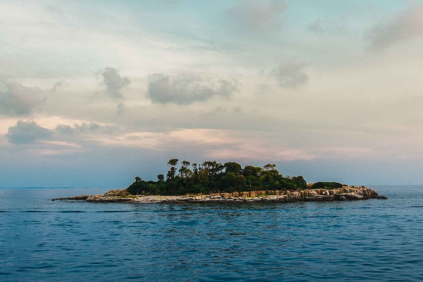 Picture 5 for Activity Rovinj half-day cruise: swim stops, drinks & brunch included