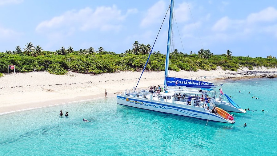 Catamaran anchored off a beach
