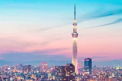 Tokyo Private 1 Day Tour with optional Guide