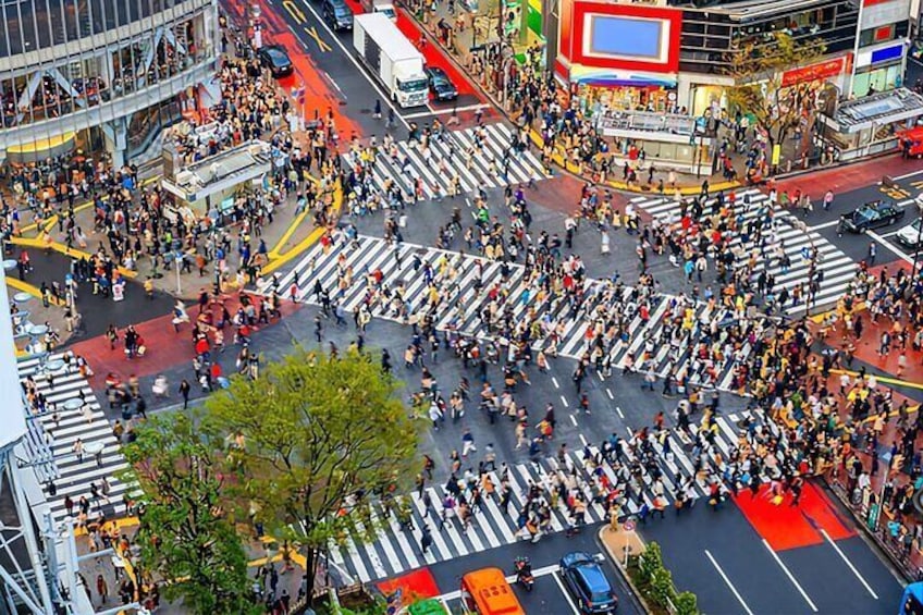 Shibuya Crossing Tokyo 