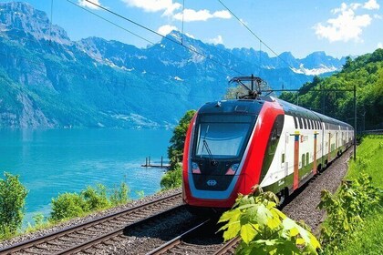 Exclusive Panoramic Train Journey though the Heart of Swiss