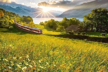 Exclusive Panoramic Train Journey though the Heart of Swiss