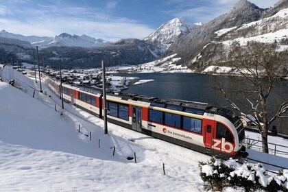 Exclusive Panoramic Train Journey though the Heart of Swiss