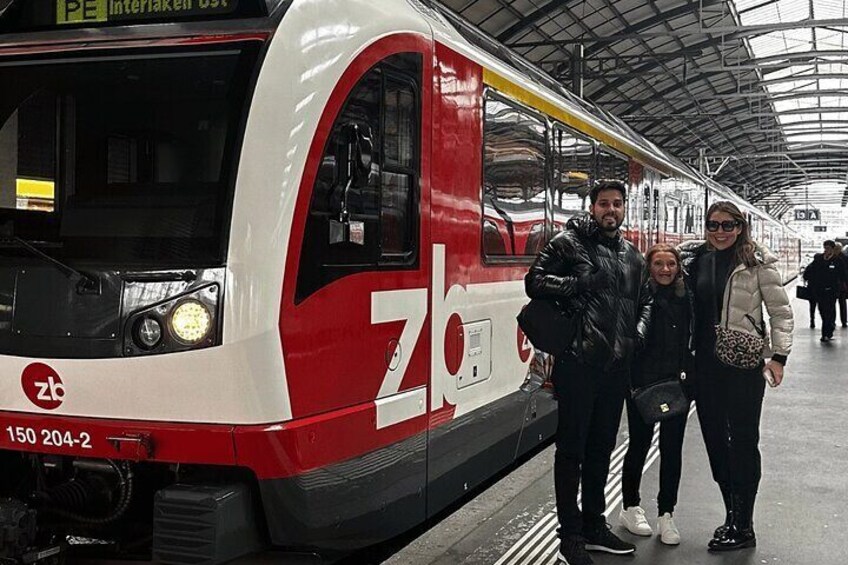 Exclusive Panoramic Train Journey though the Heart of Swiss