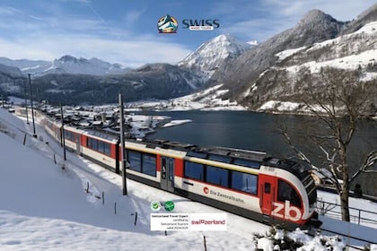 Voyage panoramique exclusif en train au cœur de la Suisse