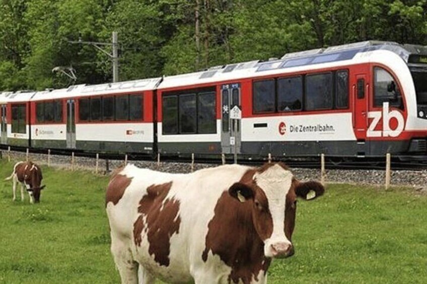 Exclusive Panoramic Train Journey though the Heart of Swiss